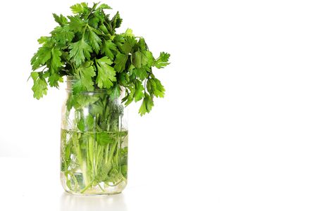 fresh parsley in a jar of waterの写真素材