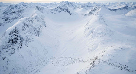 Aerial view of snow covered mountains. Panoramic view.の写真素材