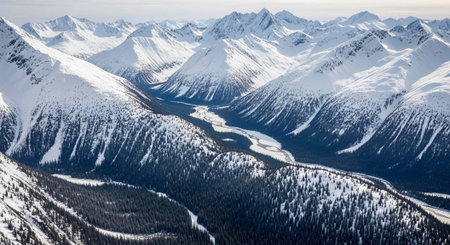 Aerial view of mountains covered with snow in winter, Canadian Rockiesの写真素材