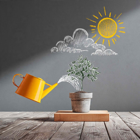 Watering can and plant on wooden table against grey wall with sun