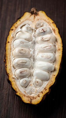 Cacao fruit on a wooden background. Organic cacao fruit.