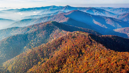 Colorful autumn landscape in the Carpathian mountains.