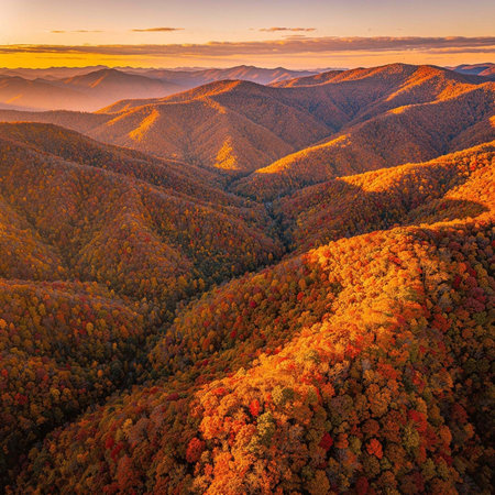 Aerial view of beautiful autumn landscape with colorful forest in mountains.