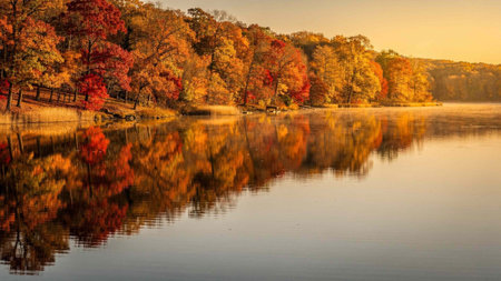 Autumn landscape with colorful trees on the bank of the river.
