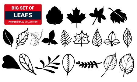 Set of leaf silhouettes. 3D Illustrationのイラスト素材
