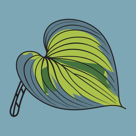 Botanical Green and Blue Leaf Plant vector drawingのイラスト素材