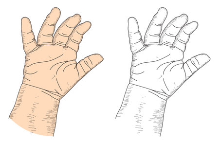Baby Hand, Human Hands Sketch Drawing, Baby Hand Clipart, hand line artのイラスト素材