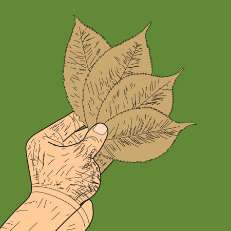 Holding Leaves with Hand Illustration Drawing, engraving, ink, line art, vector, hand Drawing sketchのイラスト素材