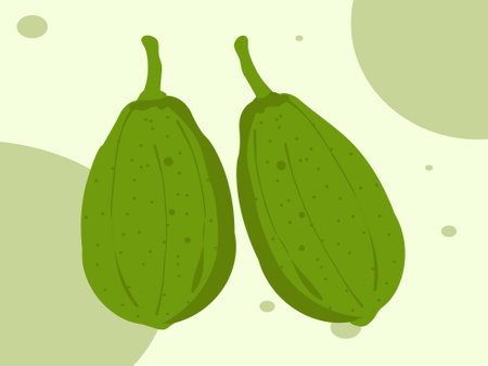 Vegan Green Papaya Vector Illustrationsのイラスト素材