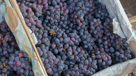 Close up of black grapes in a basket.