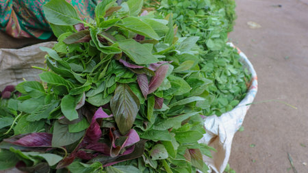 Fresh  green leafy vegetable Organic diet and vegetarian diet concept, Raw Organic Green green leafy...