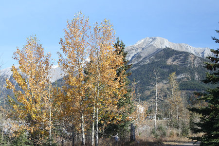 Canmore Mountain Rangeの写真素材