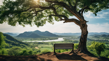 Bench under the big tree on top of the mountain with beautiful landscape backgroundの素材
