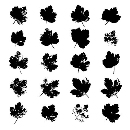 Gooseberry leaves black ink prints isolated on white. Real stamps of foliage imprints. Handcrafted plant design elements for fabric decor, wrapping paper and other background. EPS8 vector illustrationのイラスト素材