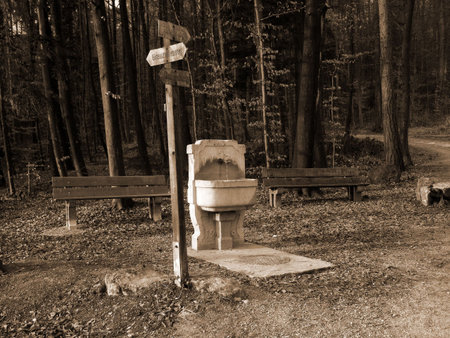Fountain by hiking crossroads in forestの写真素材