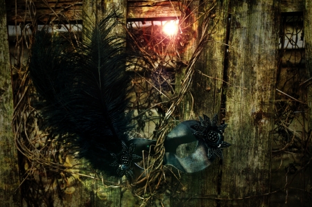 Masquerade - Black Venetian Mask on Weathered Fenceの写真素材
