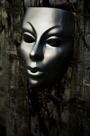 Trapped - Mask on Weathered Fenceの写真素材