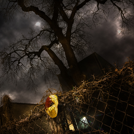 Masquerade - Venetian Mask on Fence with Dramatic Tree and Skyの写真素材