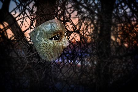 Vintage Venetian Mask on Rusty Steel Fenceの写真素材