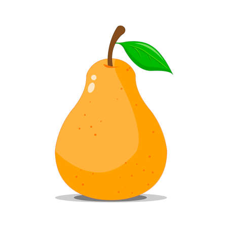 Ripe pear illustration on white backgroundのイラスト素材
