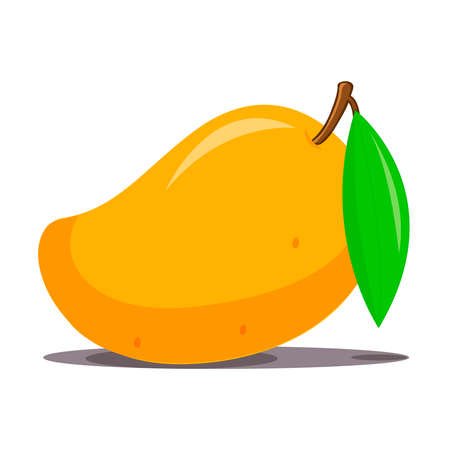 Ripe mango illustration isolated on white background.のイラスト素材