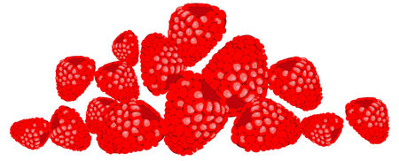 Hill of red tasty raspberry on white background, illustrationのイラスト素材
