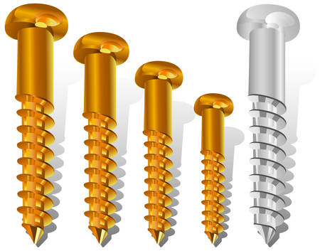 Set of different size new screws for construction, an engineering illustrationのイラスト素材