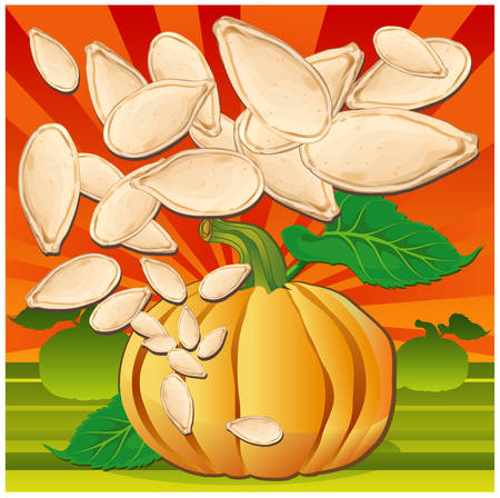 Yellow pumpkin with green leaves and seeds on garden background, vector illustrationのイラスト素材