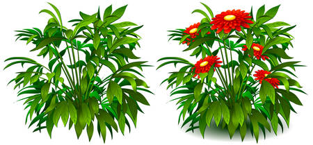 Floral background, bush of flowers on white, element for design, vector illustrationのイラスト素材