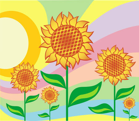 Sunflowers on sky background with rainbow, vector illustrationのイラスト素材