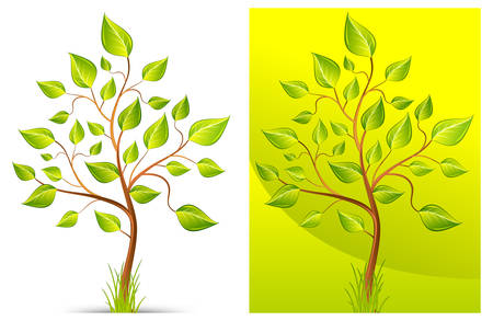 Green trees with grass on white and green background, vector illustrationのイラスト素材