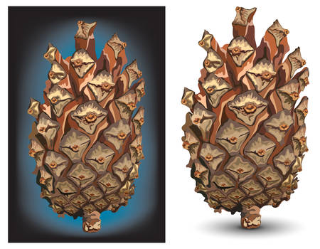 Pine cone isolated on white color backgroundのイラスト素材