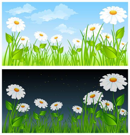 Field of daisies and cloudy sky, day and night.のイラスト素材