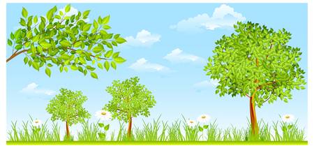 rural landscape, trees, plant, grass and flowersのイラスト素材