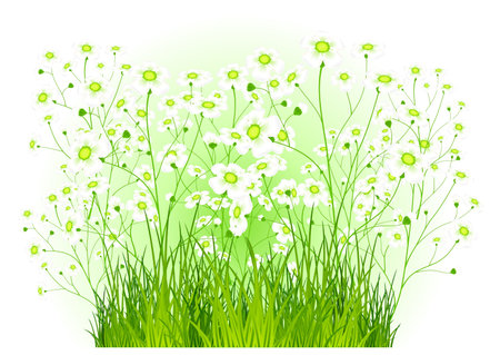 green bush with white color spring flowers, delicate illustrationのイラスト素材