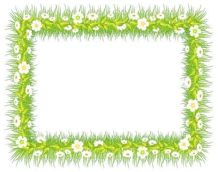 frame with green grass and flowers, isolated on white background vector illustrationのイラスト素材