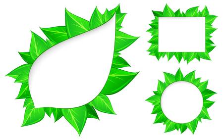 Fresh green leaves border on whiteのイラスト素材