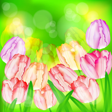 Holiday background, tulip flowers on green, vector illustration.のイラスト素材