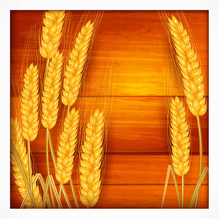 Ripe ear wheat on wooden background, agricultural vector illustrationのイラスト素材