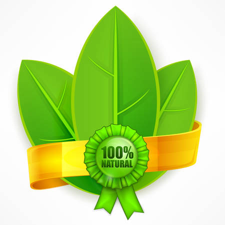 Green leaf with golden ribbon on white, vector illustrationのイラスト素材