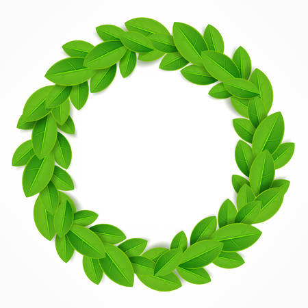 Green leaves wreath on white, vector illustrationのイラスト素材