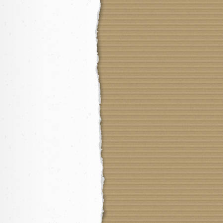 Torn cardboard pieces with space for text, craft textured, precentation concept. Vector illustrationのイラスト素材