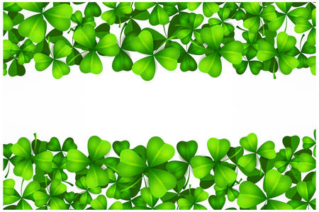 Saint Patrick's day background with lucky green clover leaves or shamrocks on white, vector illustration.のイラスト素材