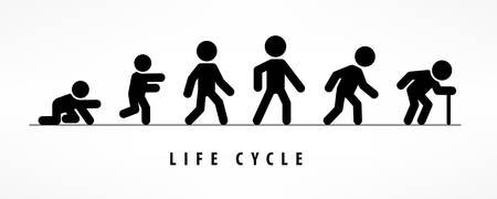 Man lifecycle from birth to old age on white. Life cycle and aging process. Person growing up from baby to old ageのイラスト素材