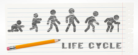 Man lifecycle from birth to old age. Life cycle and aging process. Person growing up from baby to...