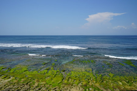 Mossy rocky seashore on the Balangan beach. Bali. Indonesiaの写真素材