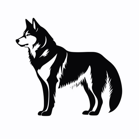 Vector image of a dog breed German Shepherd on a white background.のイラスト素材