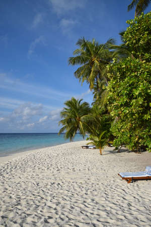 Beach in the afternoonの写真素材