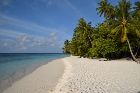 Beach in the afternoon sunの写真素材
