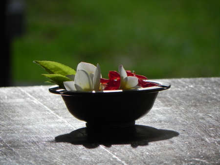 Flowers on a tableの写真素材
